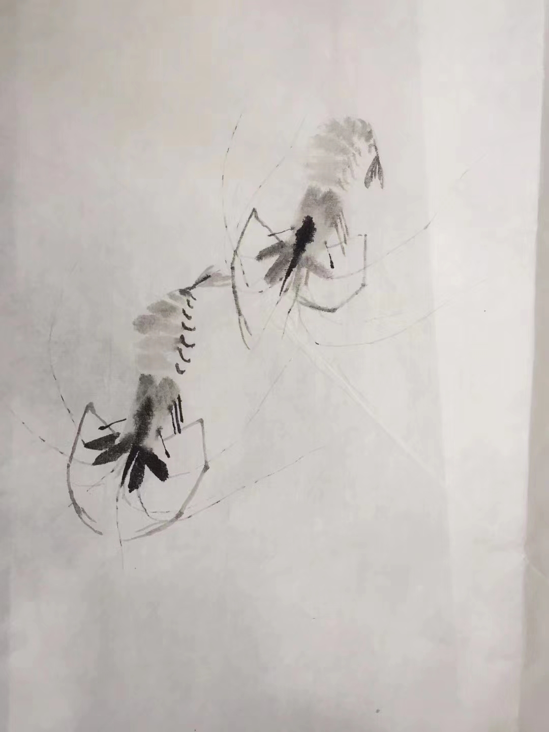 Weixin Image_20240719211448.jpg