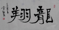 【童驛采壬寅年寫意書法總匯】【龍翔】【售价2000RMB】